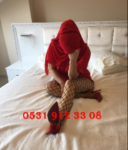 Şirinevler bayan eskort