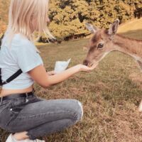 Hisetmiş Oldugu Tempoda Halkalı Escort