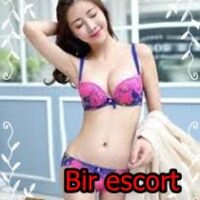 Yeşilköy Escort Bayanlar Sizlere Farklı Tatlar Sunuyor