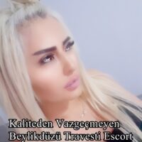Kaliteden Vazgeçmeyen Beylikdüzü Travesti Escort